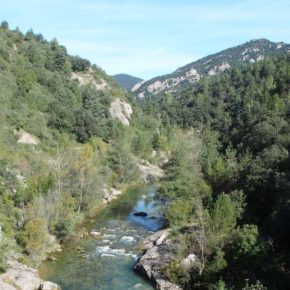 Inscriu-te a la Cursa Bombers amb Causa Cercs 2017